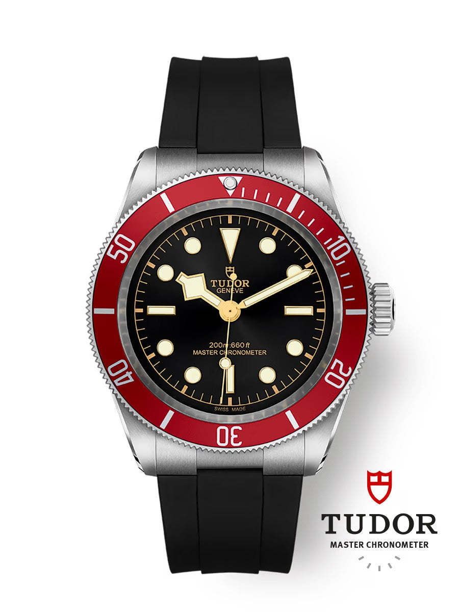 TUDOR BLACK BAY