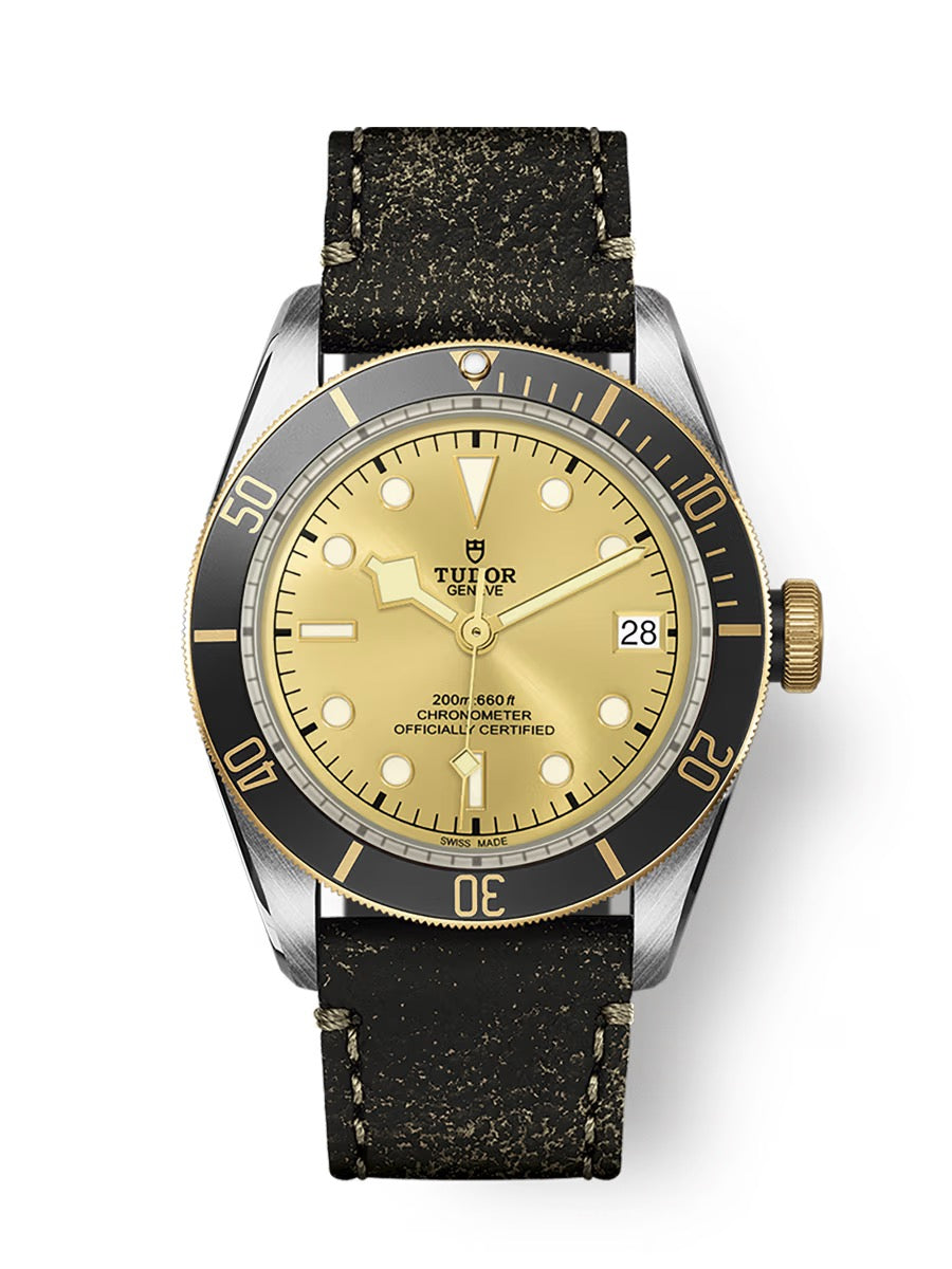 TUDOR BLACK BAY S&G