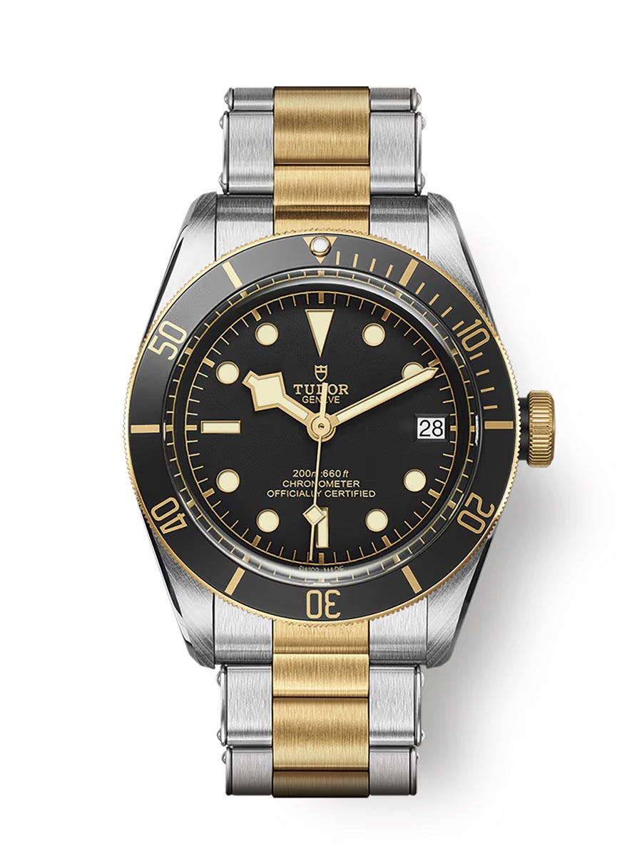 TUDOR BLACK BAY S&G