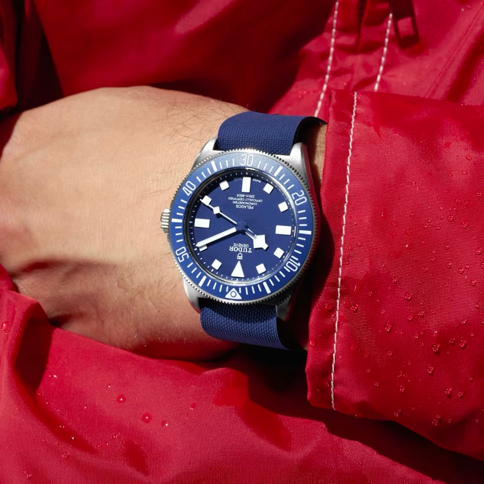 TUDOR PELAGOS FXD