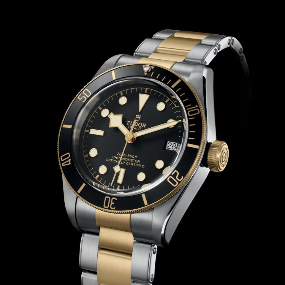 TUDOR BLACK BAY S&G