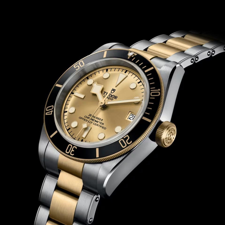 TUDOR BLACK BAY S&G