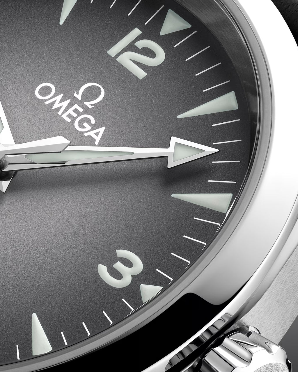 OMEGA SEAMASTER RAILMASTER 38 MM