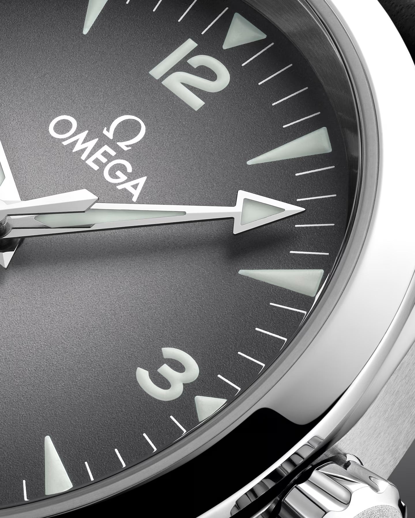 OMEGA SEAMASTER RAILMASTER 38 MM